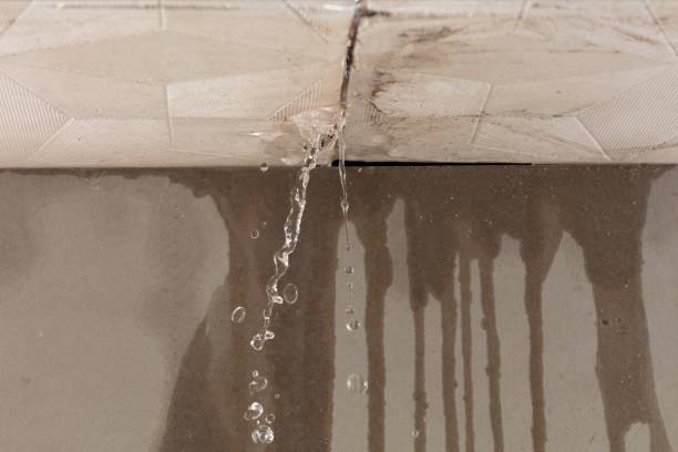 Professional Structural Drying technician working in San Simeon, CA